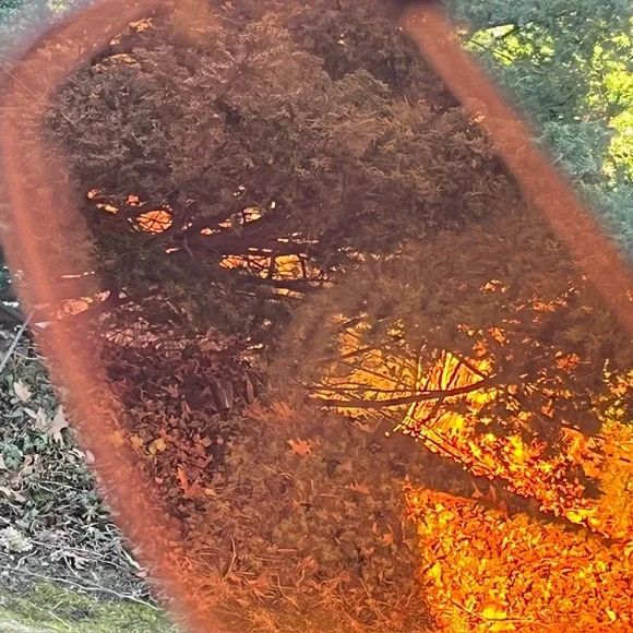 Oakley Vibrant Purple Sunglasses - Picture 4 of 13